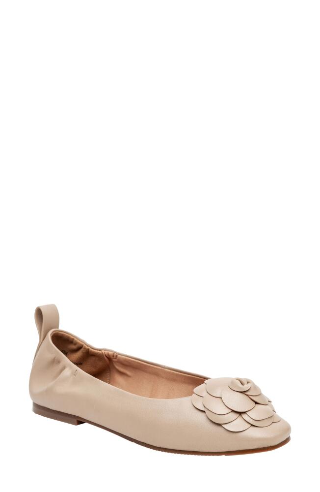 Linea Paolo Nina Ballet Flat in Nude Cover