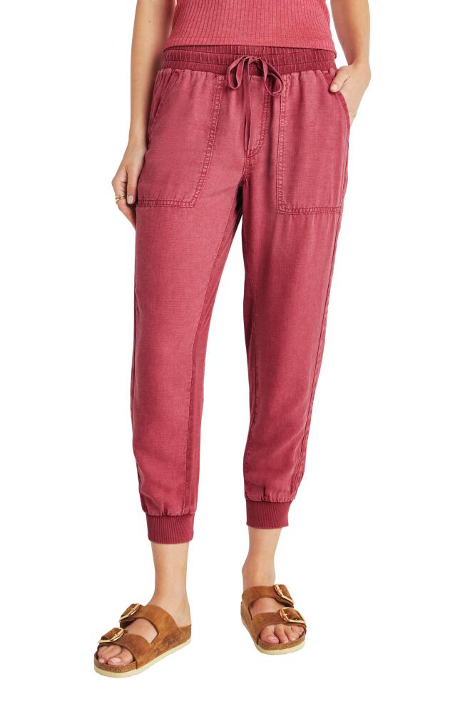 Splendid Lakeside Jogger Pants in Rossa Cover