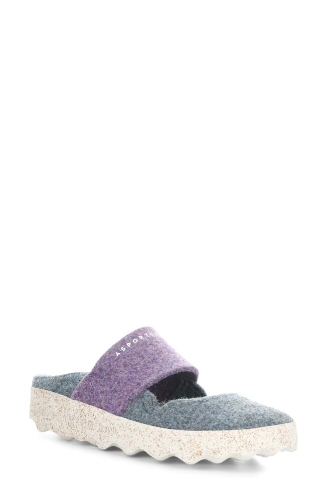 Asportuguesas by Fly London Canu Mule in Grey Blue/Purple Felt Cover