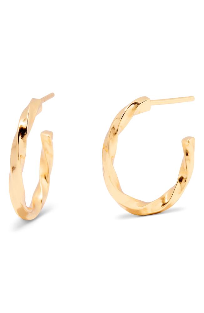 Brook and York Brooke Twisted Rope Hoop Earrings in Gold Cover