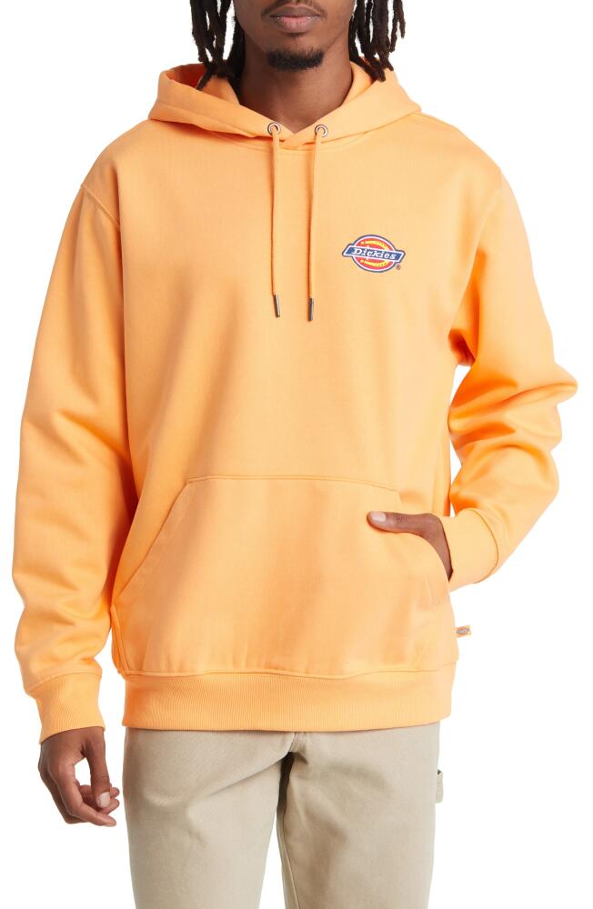 Dickies Embroidered Logo Fleece Hoodie in Papaya Smoothie Cover