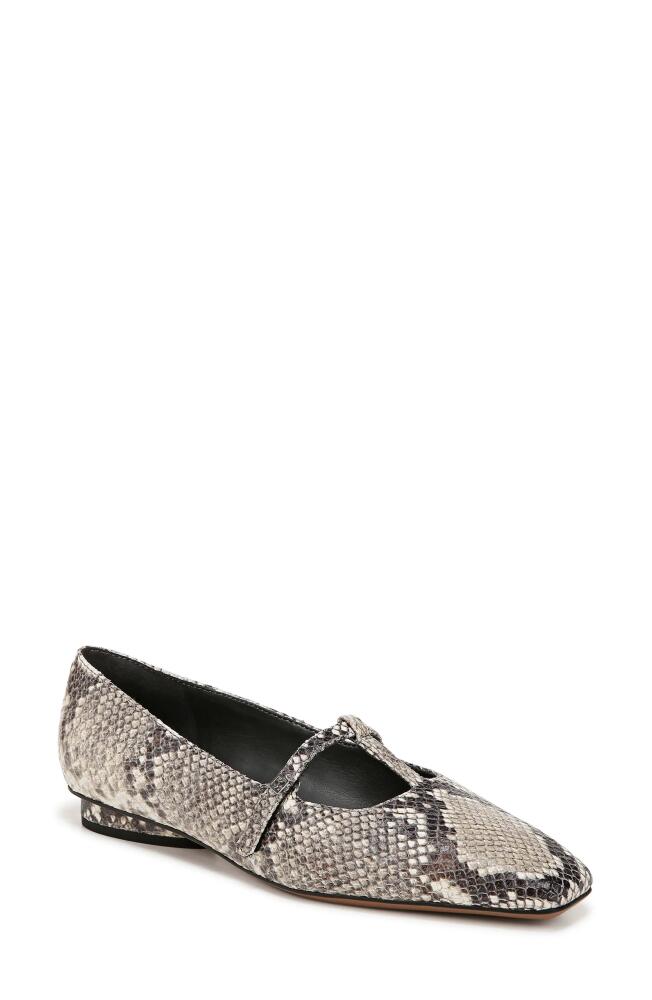 SARTO by Franco Sarto Carmela Square Toe Mary Jane Flat in Grey Multi Cover