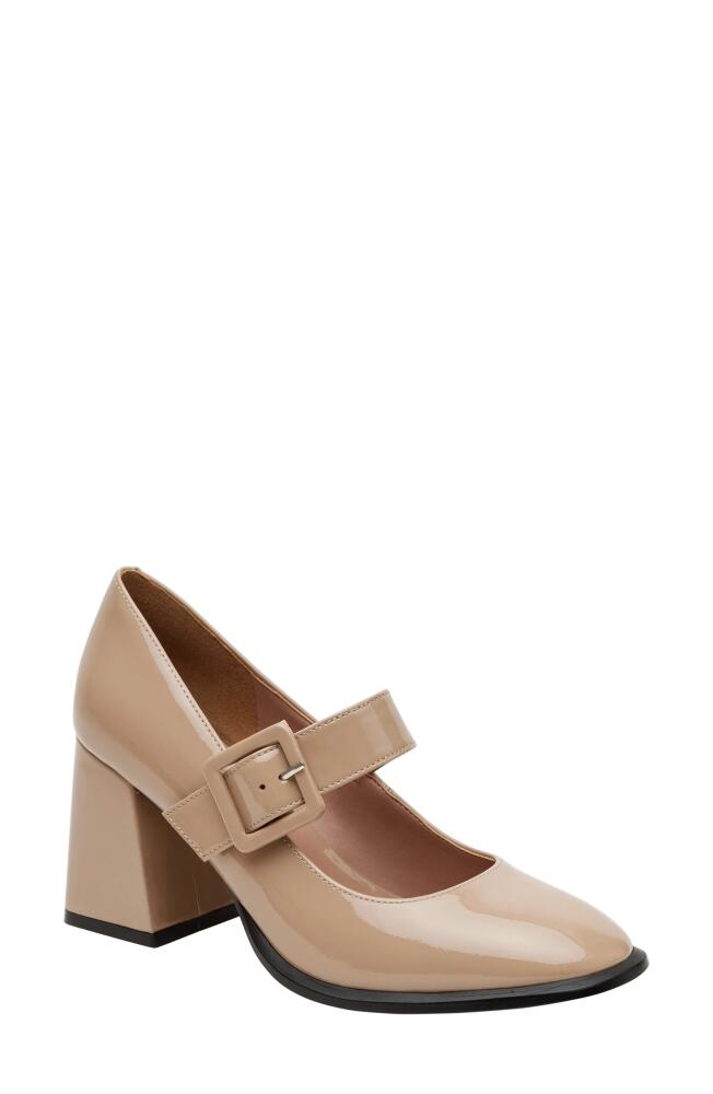 Linea Paolo Belle Mary Jane Pump in Maple Sugar Cover