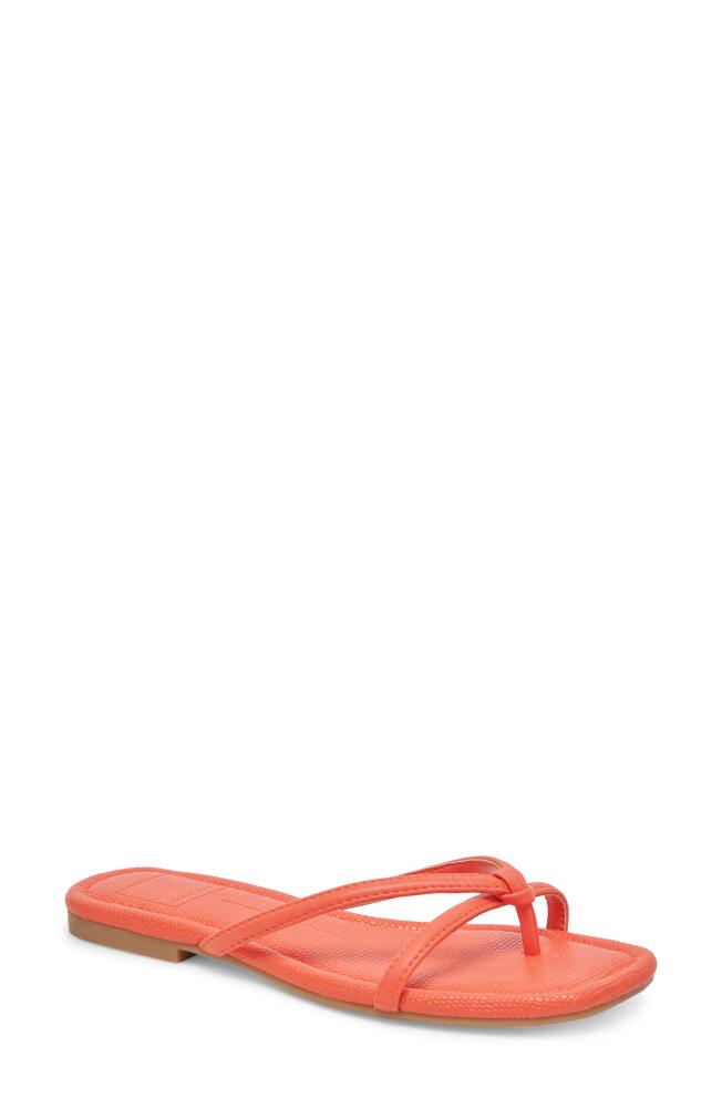 Dolce Vita Lucca Flip Flop in Persimmon Stella Cover