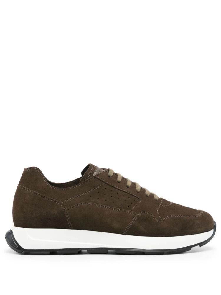 Barrett perforated suede sneakers - Brown Cover