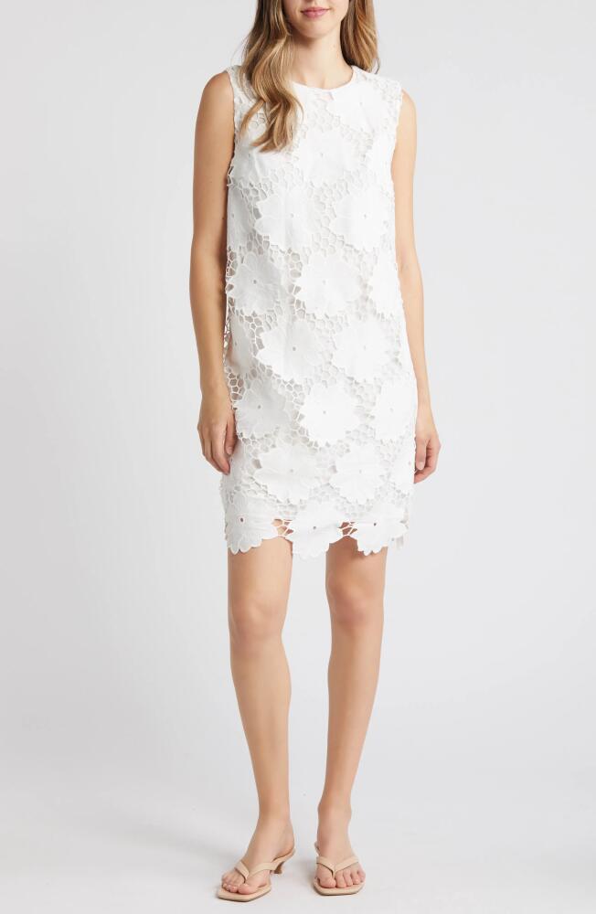 Sam Edelman Floral Eyelet Shift Dress in White Cover