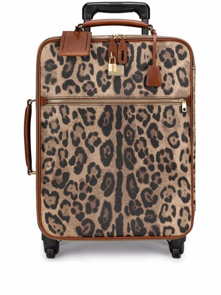 Dolce & Gabbana Crespo leopard-print suitcase - Brown Cover