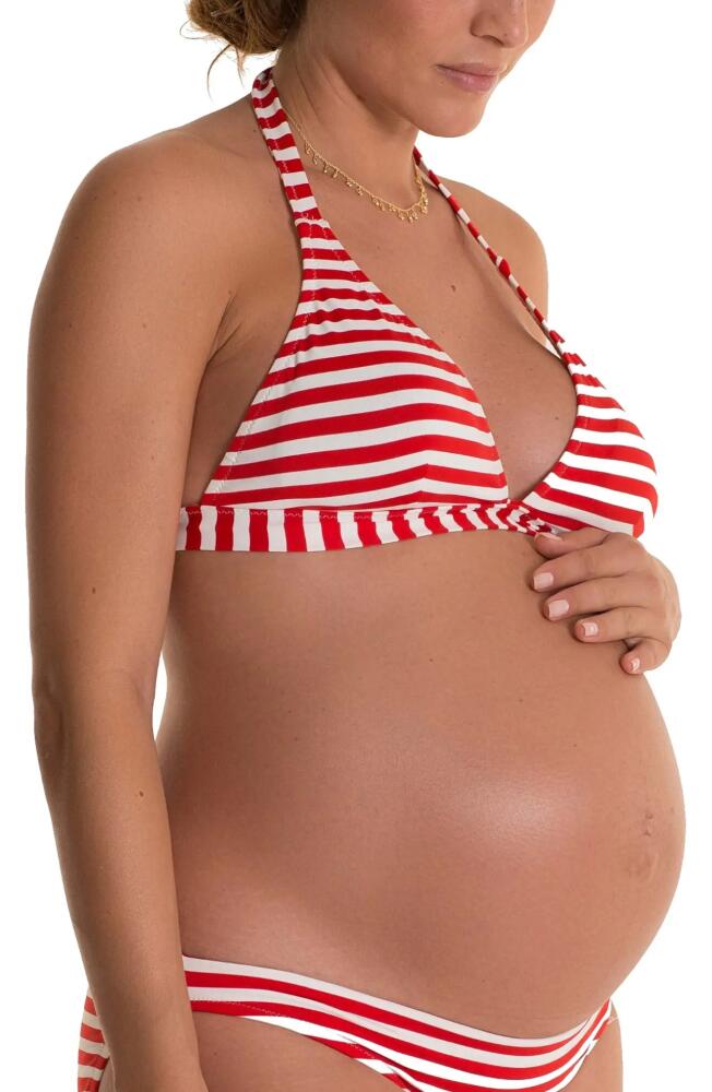 Pez D'Or Isabella Striped Maternity Bikini Top in Red/White Cover