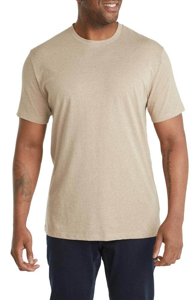 Johnny Bigg Essential Crewneck Cotton T-Shirt in Stone Cover