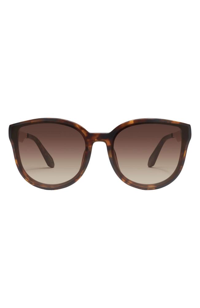 QUAY Date Night 54mm Round Sunglasses in Neutral Tortoise /Brown Cover