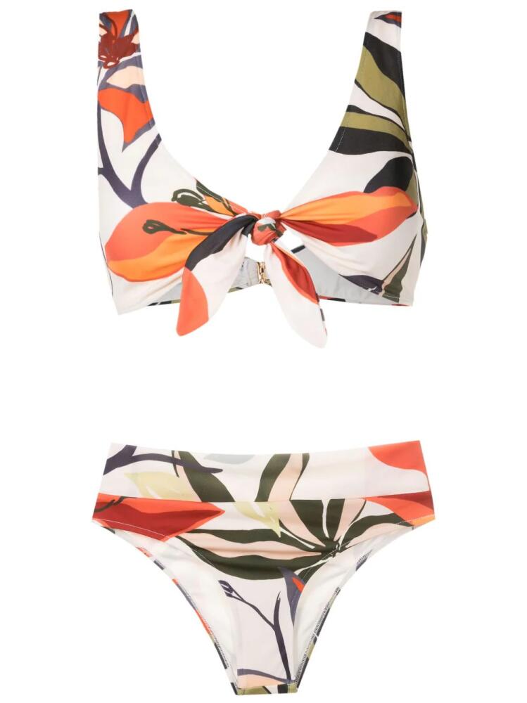 Brigitte palm-print bikini set - Multicolour Cover