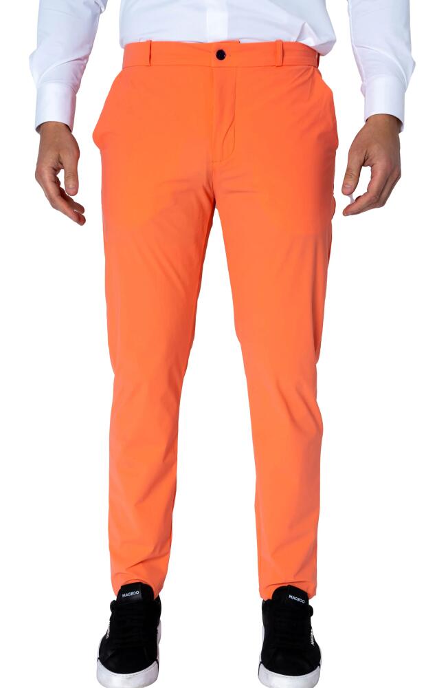 Maceoo Slim Fit Pants in Orange Cover