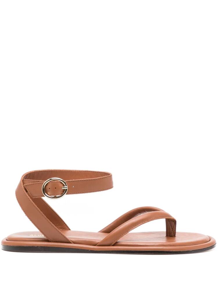 ALOHAS Seneca leather sandals - Brown Cover