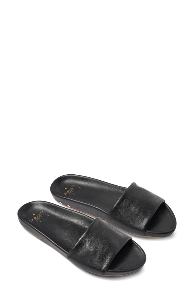 Beek Gallito Slide Sandal in Black/Black Cover