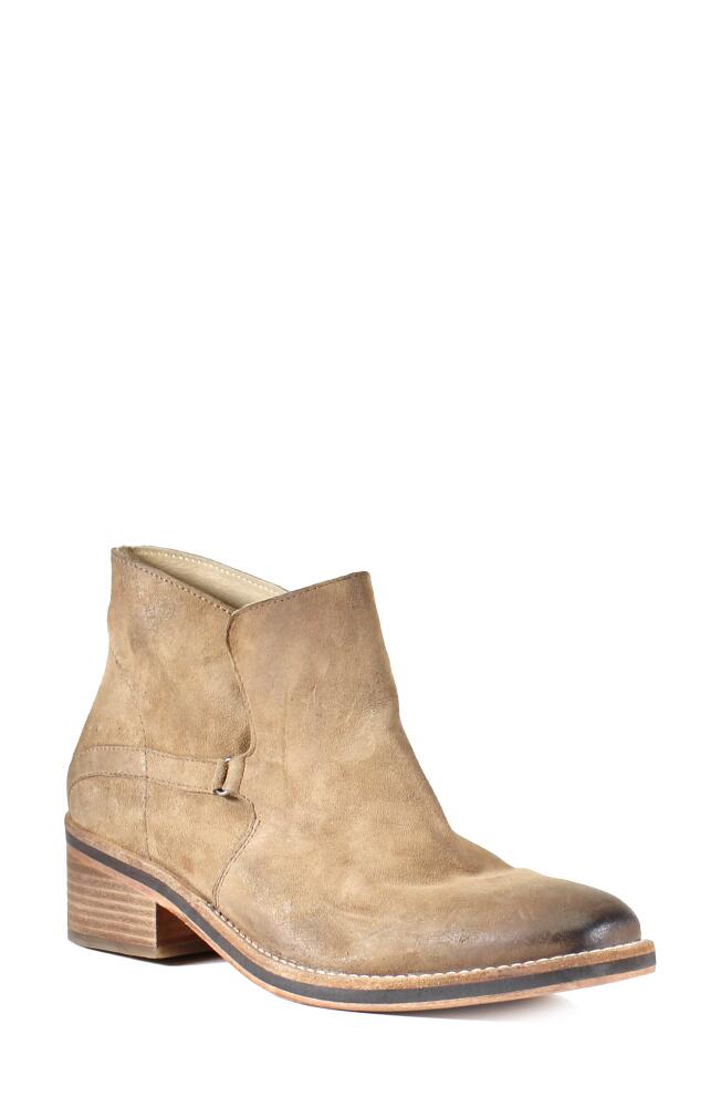 Diba True Caspian Bootie in Beige Cover