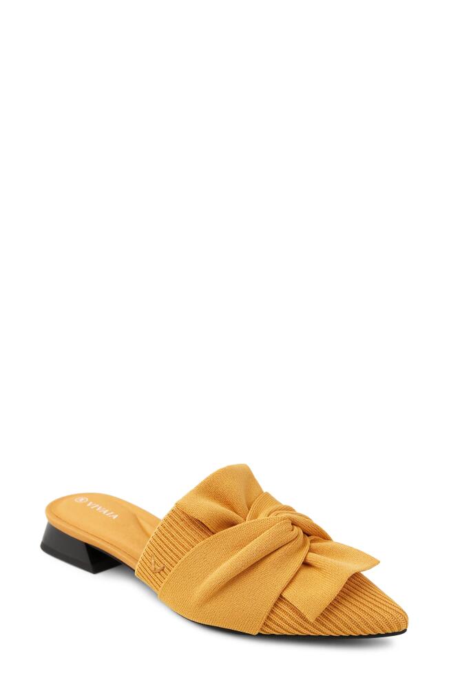 VIVAIA Yaffa Pointed Toe Mule in Mustard Yellow Cover