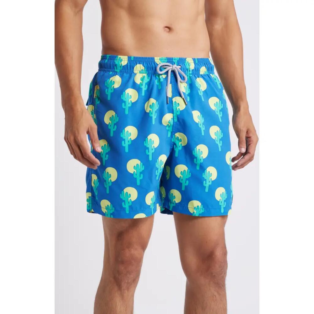 Tom & Teddy Cactus Swim Trunks in Blue & Green Cover