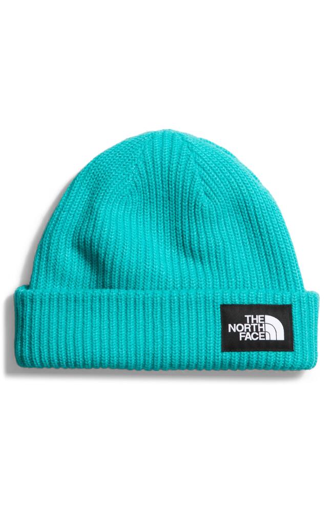 The North Face Salty Dog Beanie in Apres Blue Cover