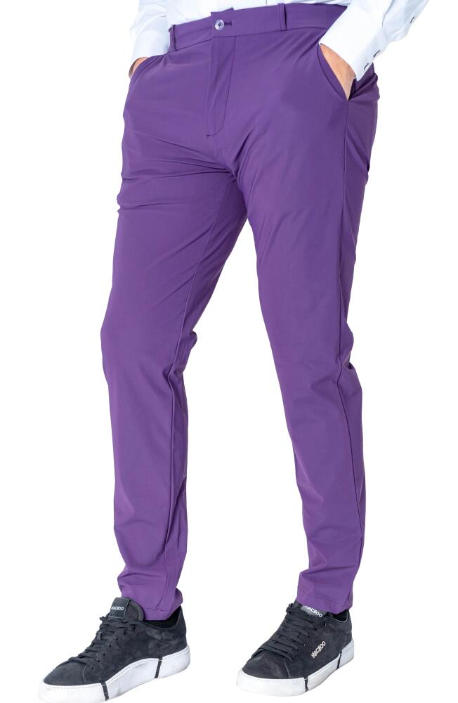 Maceoo Slim Fit Pants in Purple Cover