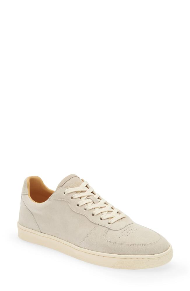 Brunello Cucinelli Flex Sole Sneaker in C8291 Lamb Cover