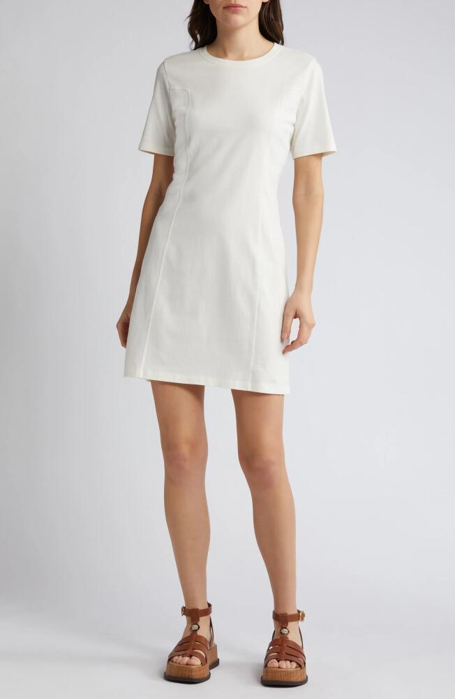 Treasure & Bond Seamed Organic Cotton T-Shirt Dress in Ivory Egret Cover