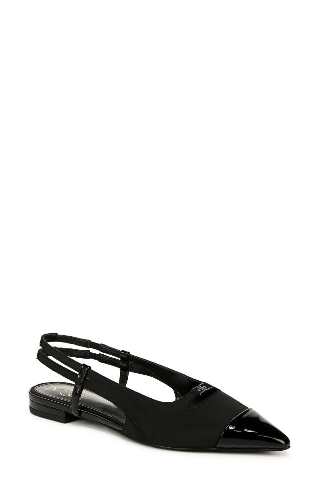 Sam Edelman Cecilia Slingback Pointed Cap Toe Flat in Black Cover