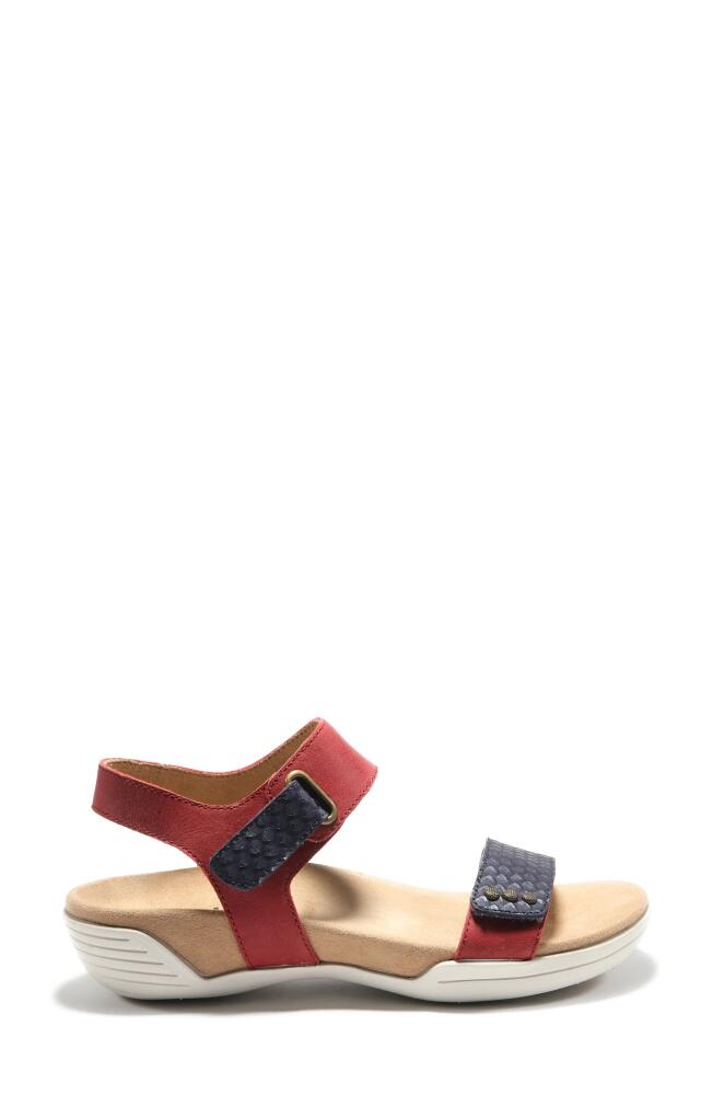 Hälsa Footwear Dominica Sandal in Dark Red/Navy Leather Cover