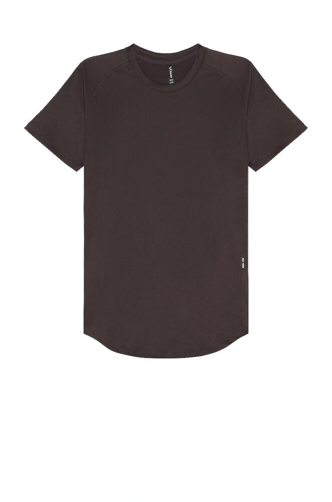 ASRV 0660. Nano Mesh Established Tee in Brown Cover