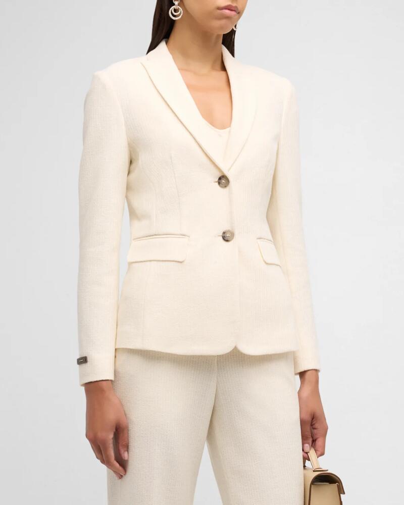 Peserico Peak-Lapel Single-Breasted Jersey Blazer Cover