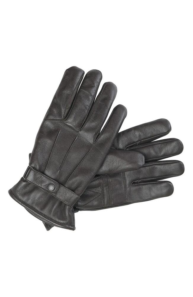 Barbour Burnished Leather Gloves in Dark Brown Cover