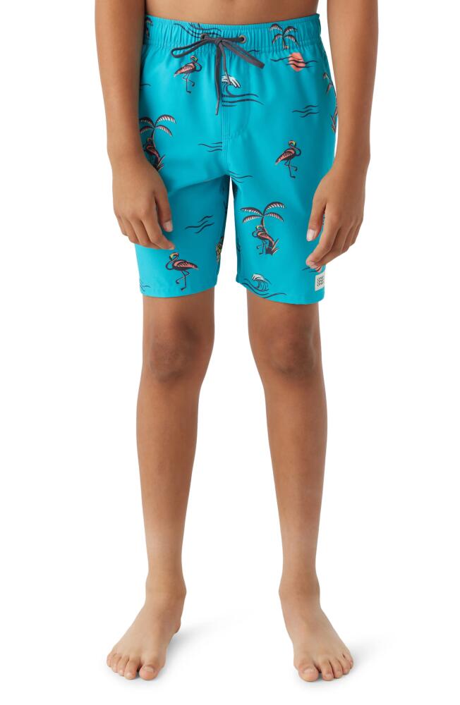 O'Neill Hermosa Swim Trunks in Peacock Blue Cover