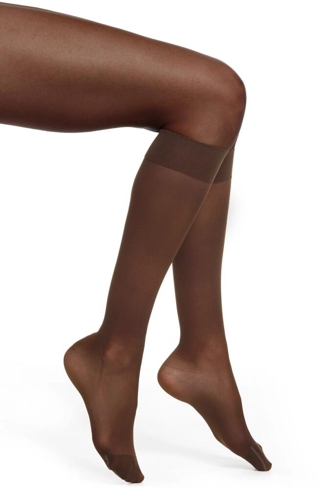 ITEM m6 Sheer Compression Knee High Socks in Cacao Cover