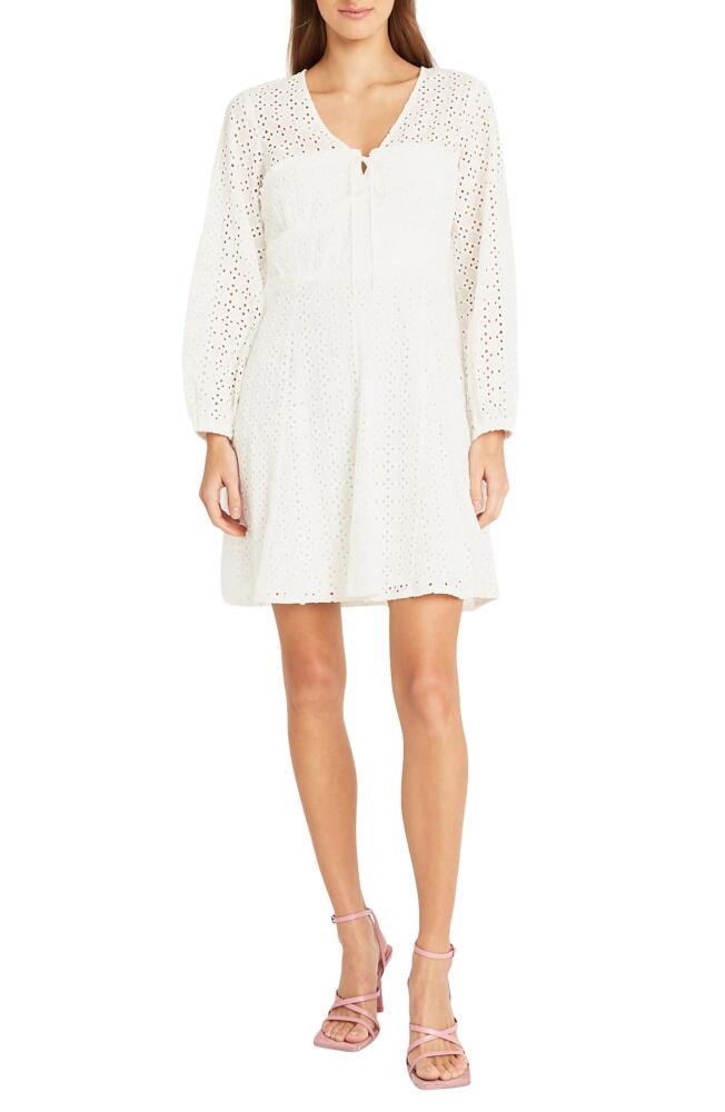 DONNA MORGAN FOR MAGGY Long Sleeve Cotton Eyelet Minidress in Ivory Cover