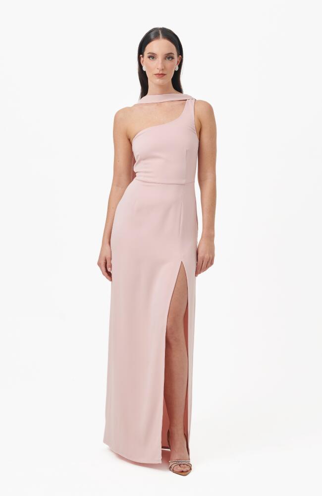 NANA'S Emily Maxi Dress in Light Pink Cover