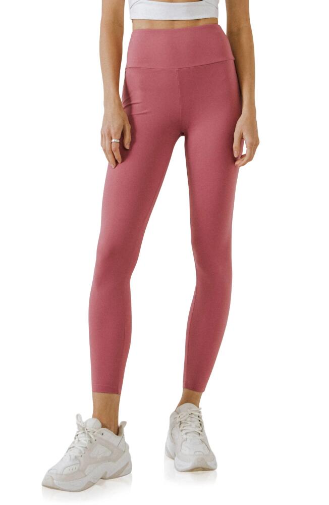 Grey Lab Leggings in Cassis Cover