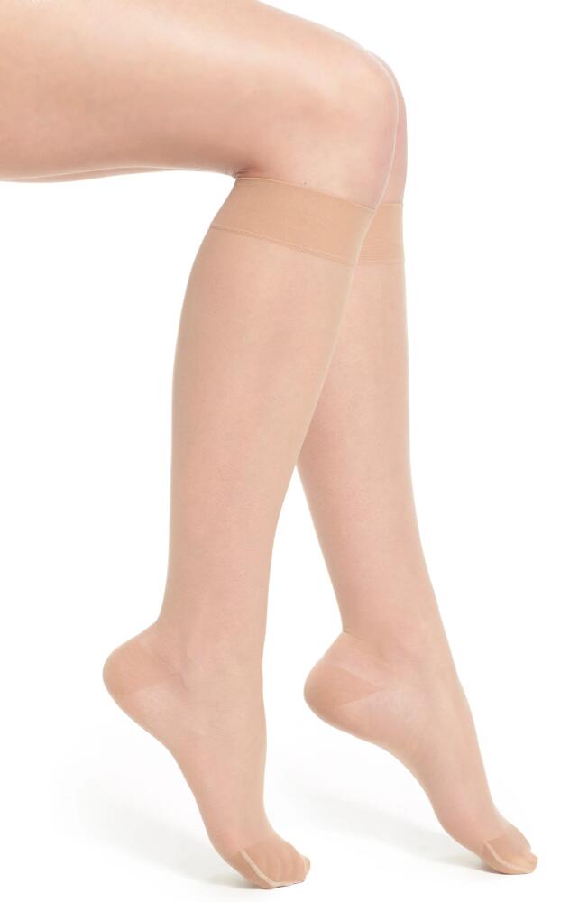 ITEM m6 Sheer Compression Knee High Socks in Powder Cover