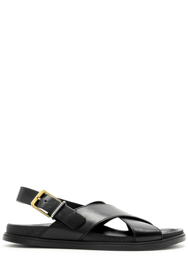 The Row Buckle Leather Sandals - Black Cover