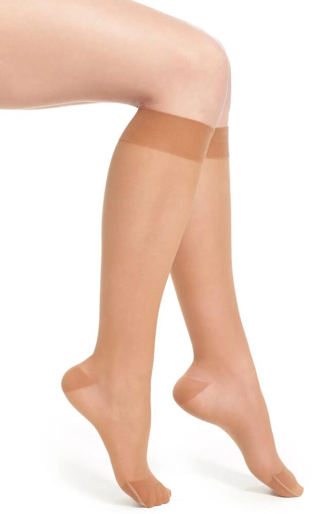 ITEM m6 Sheer Compression Knee High Socks in Almond Cover