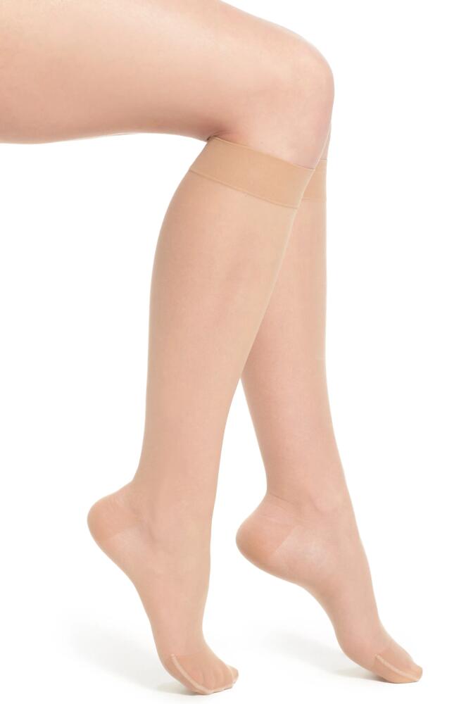 ITEM m6 Sheer Compression Knee High Socks in Ivory Cover