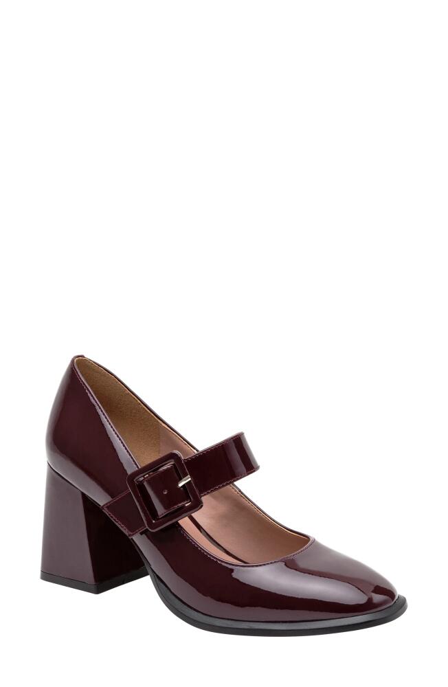 Linea Paolo Belle Mary Jane Pump in Burgundy Cover