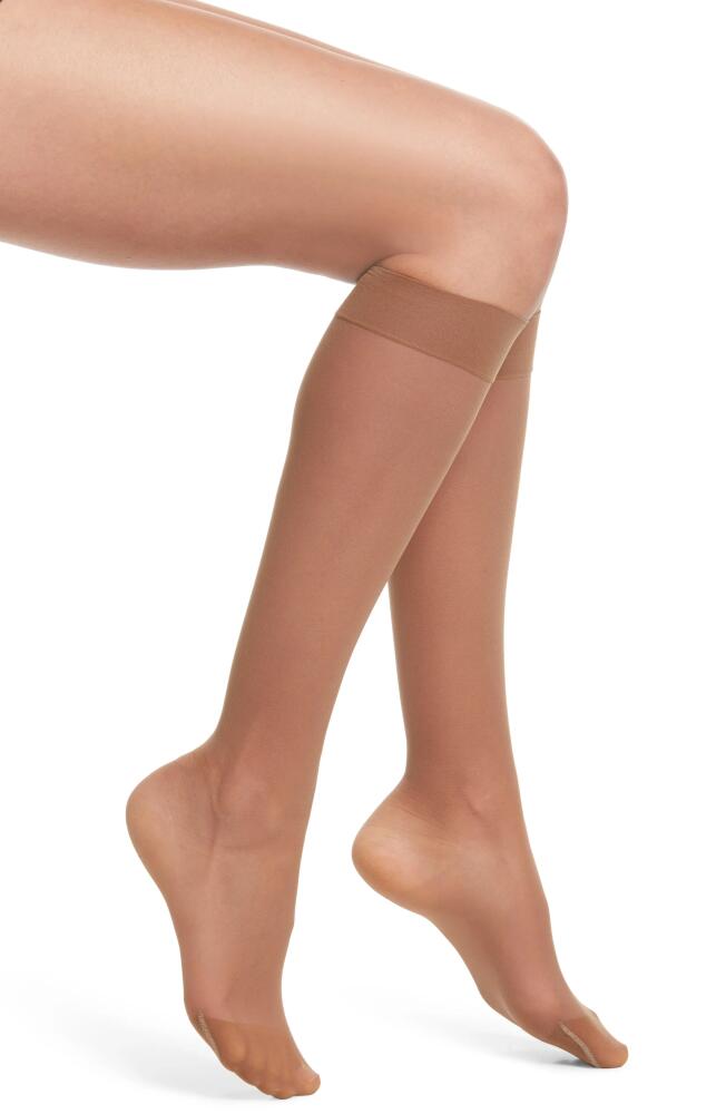 ITEM m6 Sheer Compression Knee High Socks in Milk Chocolate Cover