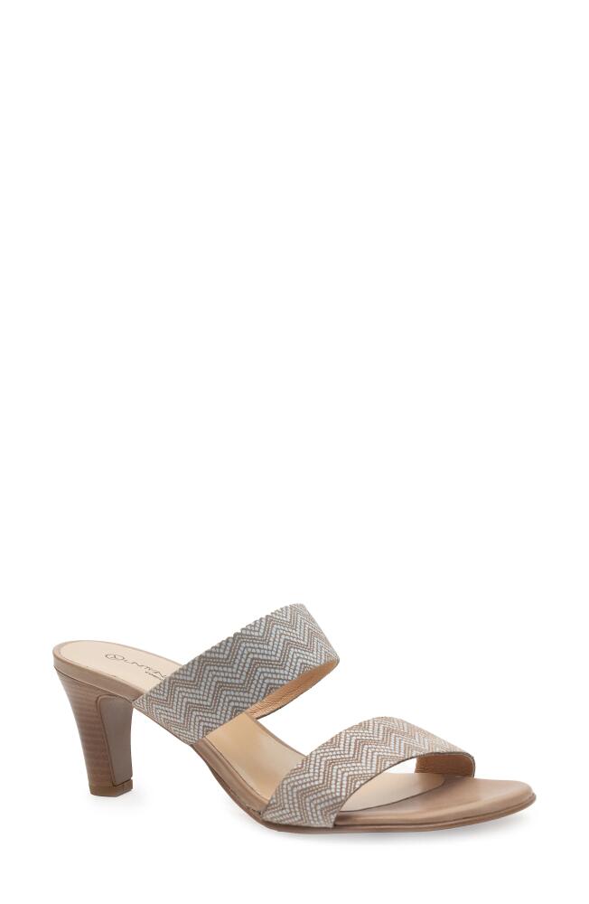 Unity in Diversity Beguile Sandal in Taupe Chevron Cover