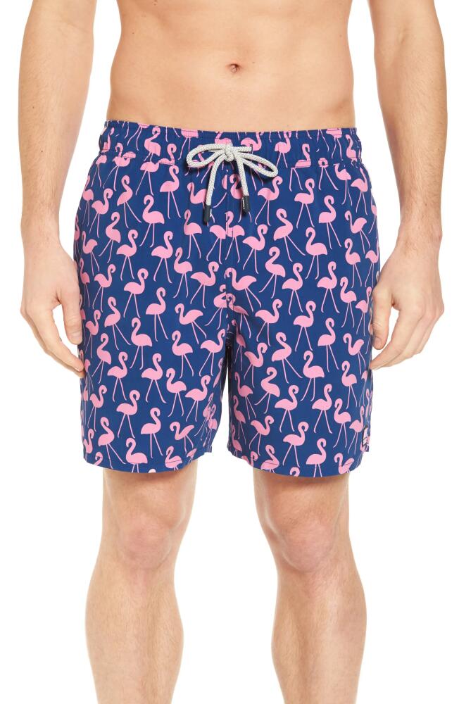 Tom & Teddy Flamingo Print Swim Trunks in Rose & Blue Cover