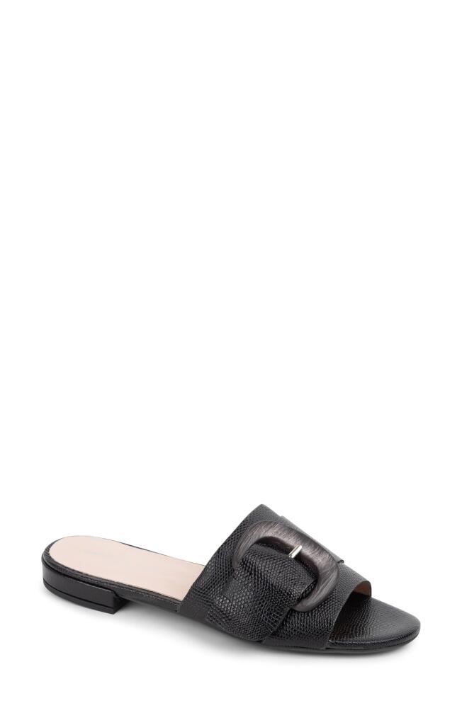 patricia green Venice Buckle Slide Sandal in Black Cover