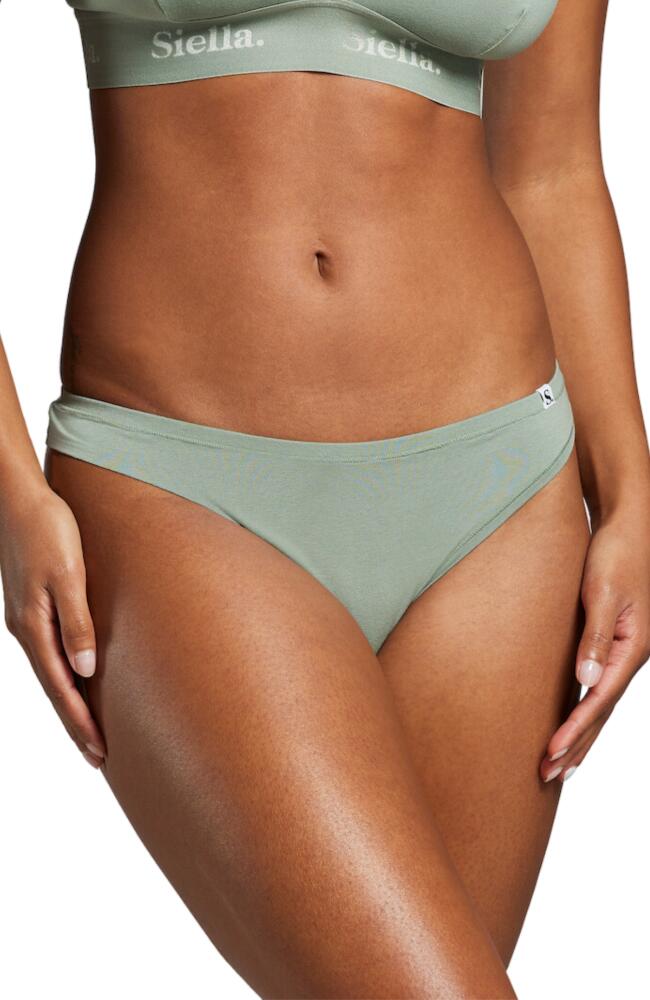 Siella Organic Cotton Thong in Sage Green Cover