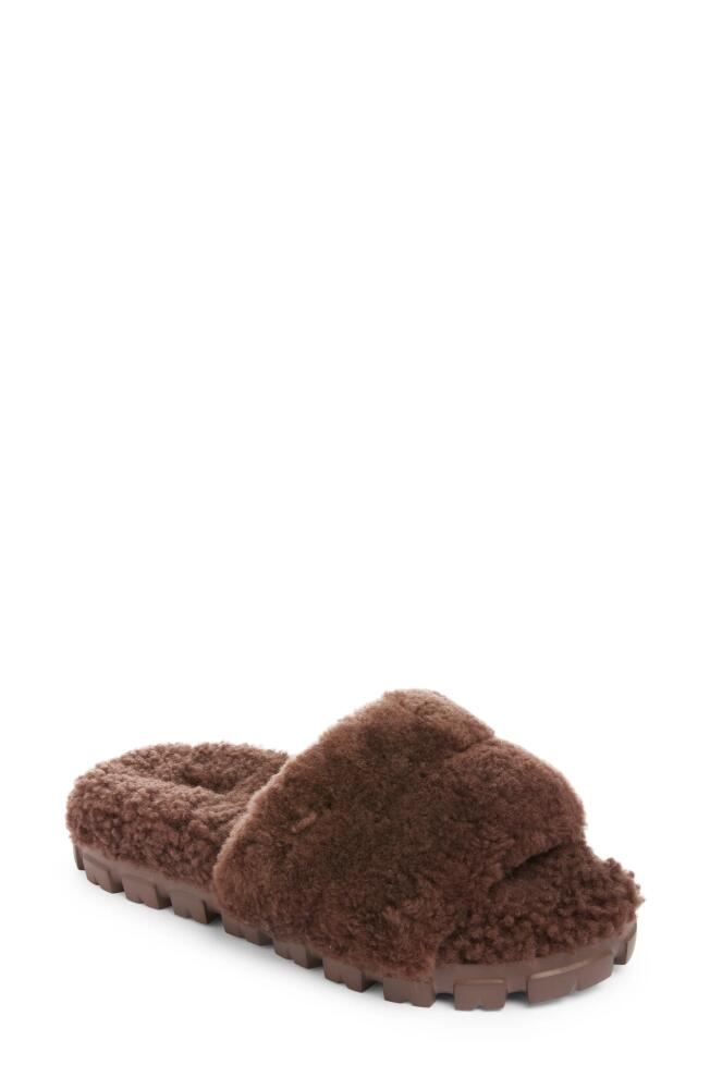 UGG(r) Cozetta Curly Genuine Shearling Slide Slipper in Burnt Cedar Cover