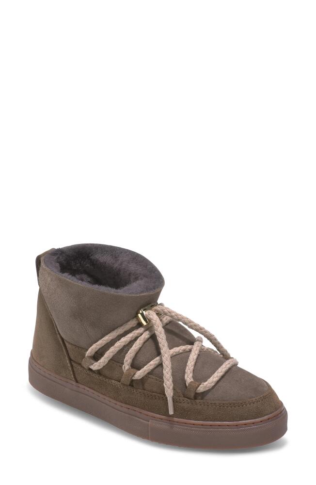 INUIKII Classic Genuine Shearling Lined Low Sneaker in Taupe Cover