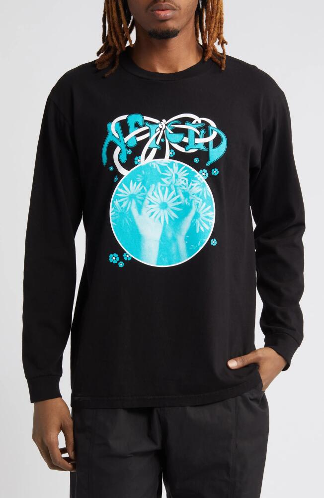 Afield Out Petals Long Sleeve Cotton Graphic T-Shirt in Black Cover