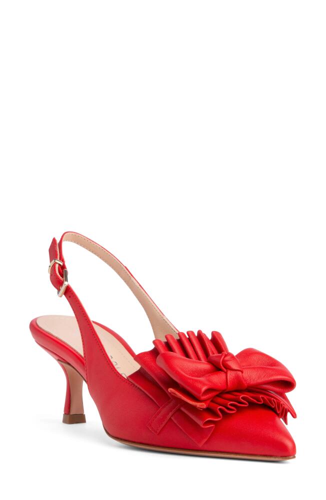 BEAUTIISOLES Fiorella Slingback Pointed Toe Pump in Red Cover