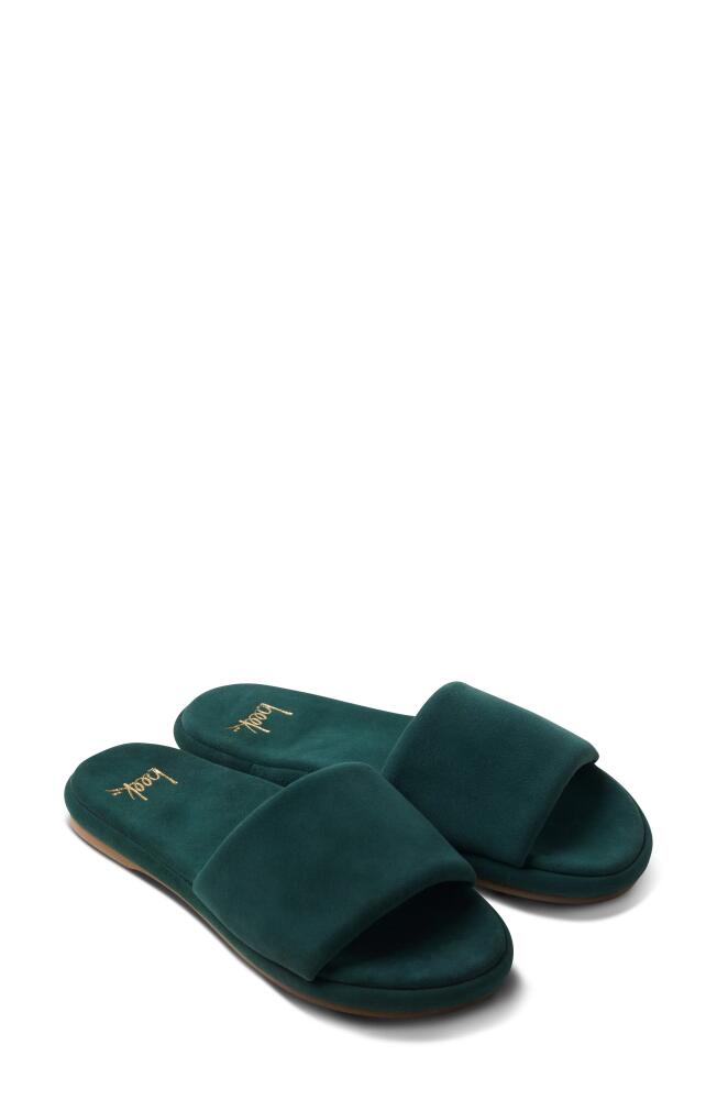 Beek Puffbird Slide Sandal in Forest Cover